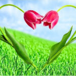 ove images, with love images, love photos, to love photo, love photos wallpaper,love photos download, love photos hd, love photo hd ,no love photo, love photo couple, love photo of couple, love photo new, love photo frame, love photos of couples, love photo sad, love photo rose, love photography, love photo cartoon, love photo heart, love photo background, love photo image,love photo status, love photo editing, love photo editor, i love photo, love photos dp, love photo frame design, लव फोटोज डाउनलोड, love photo love photo