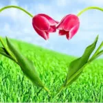 ove images, with love images, love photos, to love photo, love photos wallpaper,love photos download, love photos hd, love photo hd ,no love photo, love photo couple, love photo of couple, love photo new, love photo frame, love photos of couples, love photo sad, love photo rose, love photography, love photo cartoon, love photo heart, love photo background, love photo image,love photo status, love photo editing, love photo editor, i love photo, love photos dp, love photo frame design, लव फोटोज डाउनलोड, love photo love photo