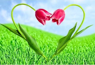 ove images, with love images, love photos, to love photo, love photos wallpaper,love photos download, love photos hd, love photo hd ,no love photo, love photo couple, love photo of couple, love photo new, love photo frame, love photos of couples, love photo sad, love photo rose, love photography, love photo cartoon, love photo heart, love photo background, love photo image,love photo status, love photo editing, love photo editor, i love photo, love photos dp, love photo frame design, लव फोटोज डाउनलोड, love photo love photo